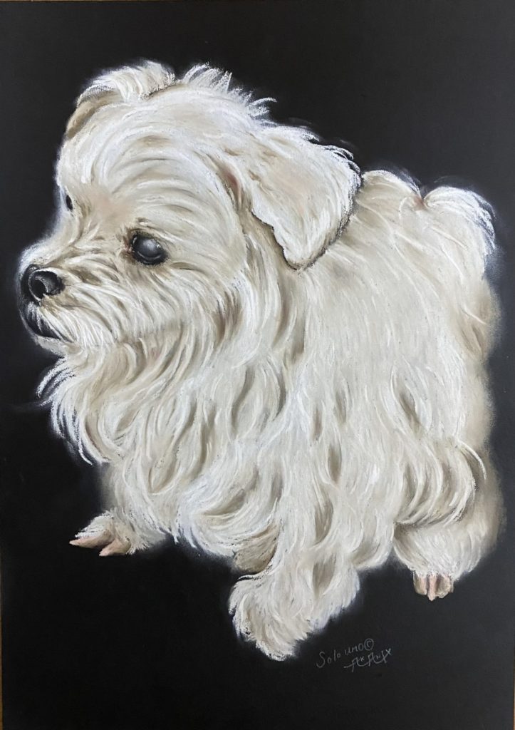 80D663E1-2A58-4C14-B308-26967D3D6AE0