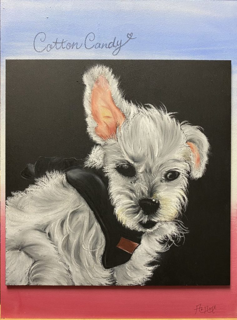 D394A767-4C0D-4C0D-AE44-0978EB758EF9